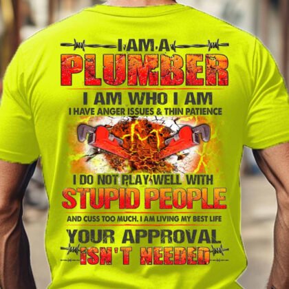 I am a Plumber i do not play well with stupid people
